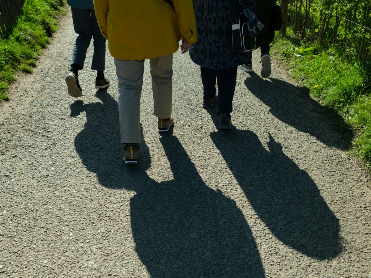 News from Hertfordshire Health&nbsp;Walks