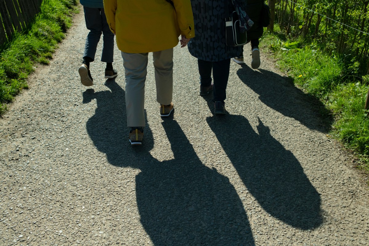 News from Hertfordshire Health&nbsp;Walks