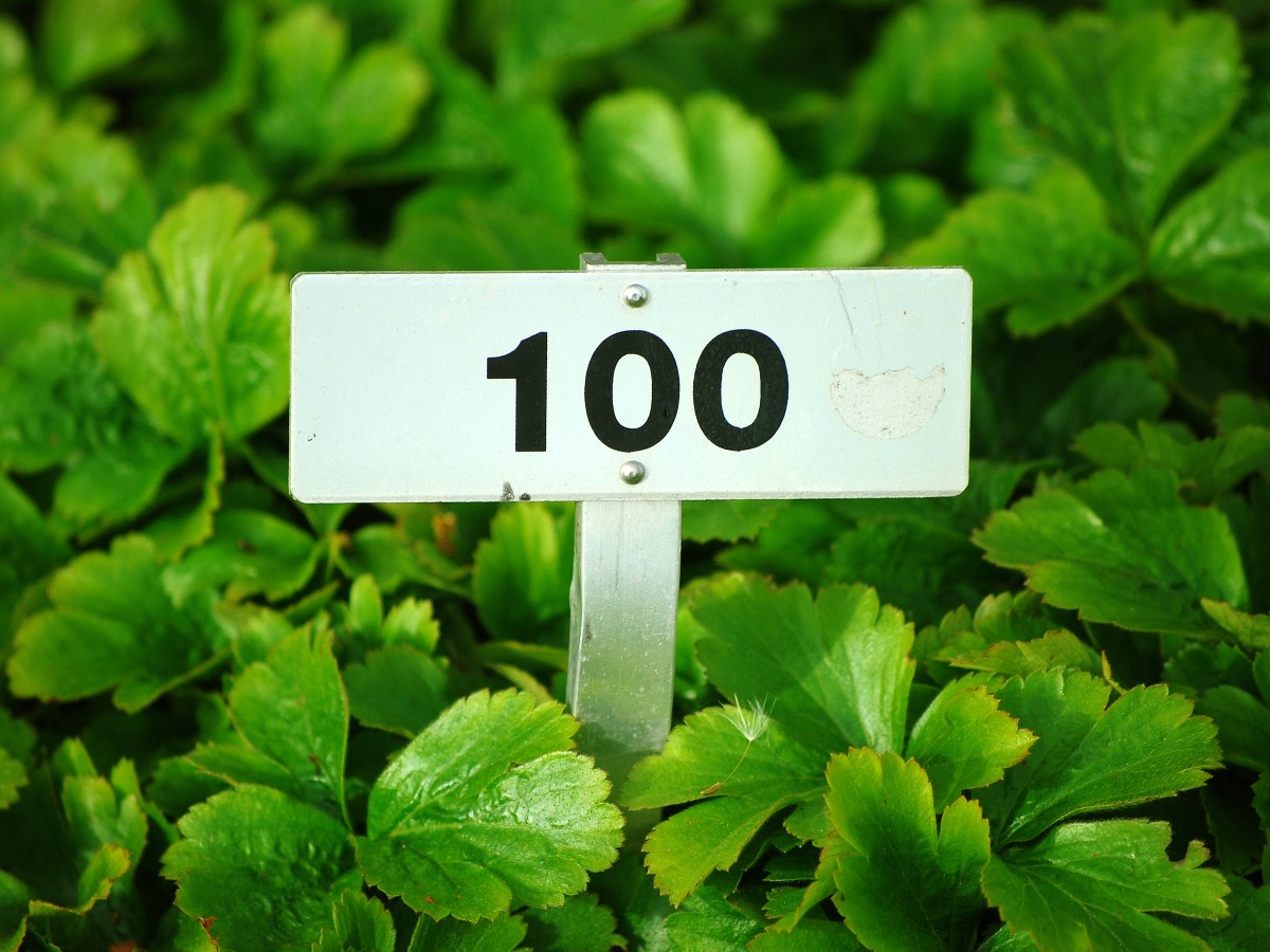 Can you help us hit&nbsp;100?